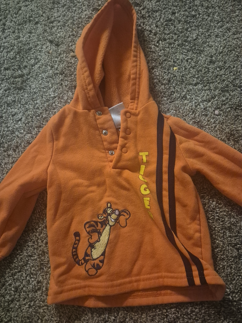 Disney Orange Tigger Hooded Pullover with Embroidered Character